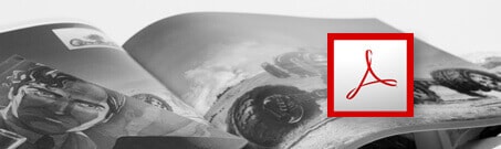 PDF to Book Converter